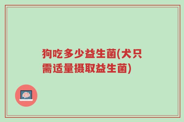 狗吃多少益生菌(犬只需适量摄取益生菌)-第1张图片-超越 狗吃多少益生菌(犬只需适量摄取益生菌)-第1张图片-超越