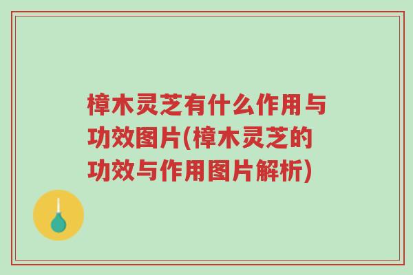 樟木灵芝有什么作用与功效图片(樟木灵芝的功效与作用图片解析)-第1张图片-超越 樟木灵芝有什么作用与功效图片(樟木灵芝的功效与作用图片解析)-第1张图片-超越