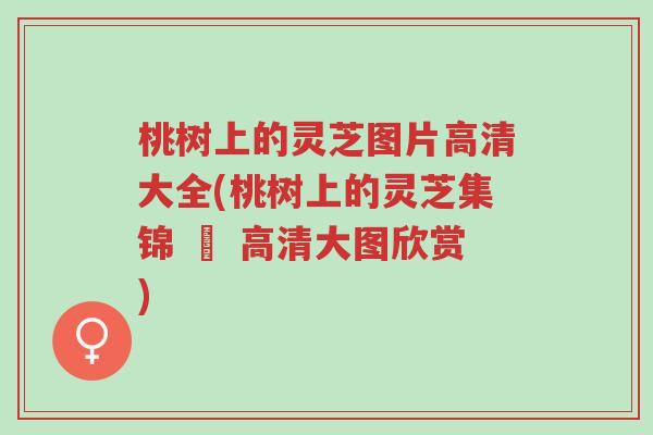 桃树上的灵芝图片高清大全(桃树上的灵芝集锦 – 高清大图欣赏)-第1张图片-超越 桃树上的灵芝图片高清大全(桃树上的灵芝集锦 – 高清大图欣赏)-第1张图片-超越