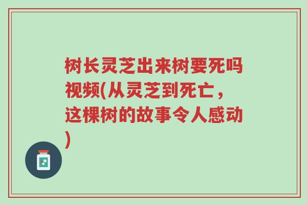 树长灵芝出来树要死吗视频(从灵芝到死亡,这棵树的故事令人感动)-第1张图片-超越 树长灵芝出来树要死吗视频(从灵芝到死亡,这棵树的故事令人感动)-第1张图片-超越