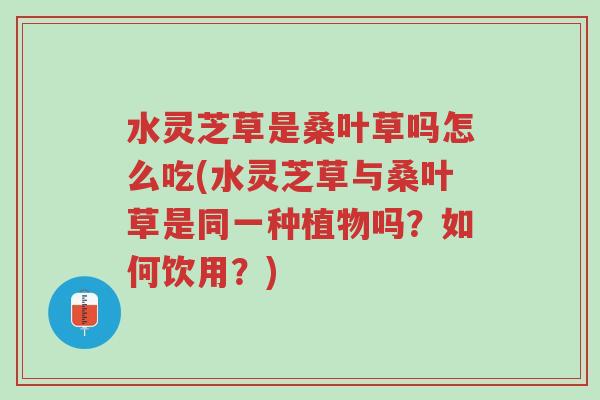 水灵芝草是桑叶草吗怎么吃(水灵芝草与桑叶草是同一种植物吗?如何饮用?)-第1张图片-超越 水灵芝草是桑叶草吗怎么吃(水灵芝草与桑叶草是同一种植物吗?如何饮用?)-第1张图片-超越