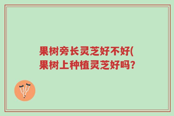 果树旁长灵芝好不好(果树上种植灵芝好吗?-第1张图片-超越 果树旁长灵芝好不好(果树上种植灵芝好吗?-第1张图片-超越