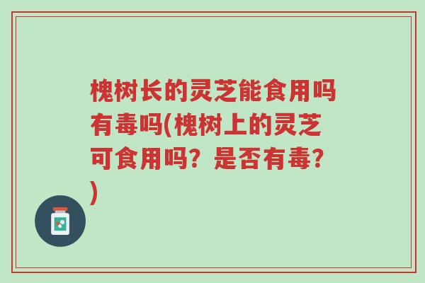 槐树长的灵芝能食用吗有毒吗(槐树上的灵芝可食用吗?是否有毒?)-第1张图片-超越 槐树长的灵芝能食用吗有毒吗(槐树上的灵芝可食用吗?是否有毒?)-第1张图片-超越