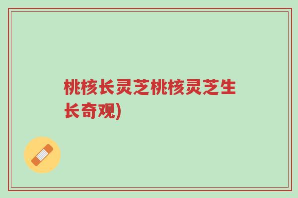 桃核长灵芝桃核灵芝生长奇观)-第1张图片-超越 桃核长灵芝桃核灵芝生长奇观)-第1张图片-超越