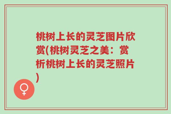 桃树上长的灵芝图片欣赏(桃树灵芝之美:赏析桃树上长的灵芝照片)-第1张图片-超越 桃树上长的灵芝图片欣赏(桃树灵芝之美:赏析桃树上长的灵芝照片)-第1张图片-超越