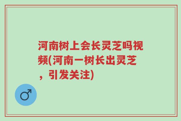 河南树上会长灵芝吗视频(河南一树长出灵芝,引发关注)-第1张图片-超越 河南树上会长灵芝吗视频(河南一树长出灵芝,引发关注)-第1张图片-超越