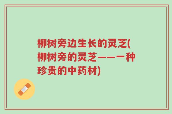柳树旁边生长的灵芝(柳树旁的灵芝——一种珍贵的中药材)-第1张图片-超越