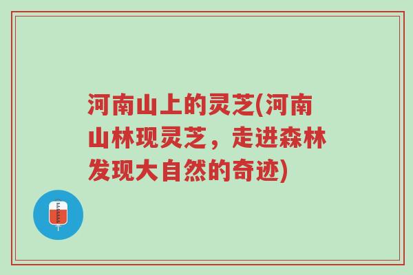河南山上的灵芝(河南山林现灵芝,走进森林发现大自然的奇迹)-第1张图片-超越 河南山上的灵芝(河南山林现灵芝,走进森林发现大自然的奇迹)-第1张图片-超越
