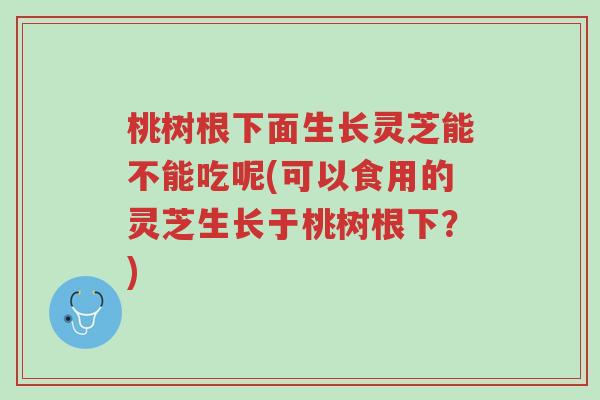 桃树根下面生长灵芝能不能吃呢(可以食用的灵芝生长于桃树根下?)-第1张图片-超越 桃树根下面生长灵芝能不能吃呢(可以食用的灵芝生长于桃树根下?)-第1张图片-超越