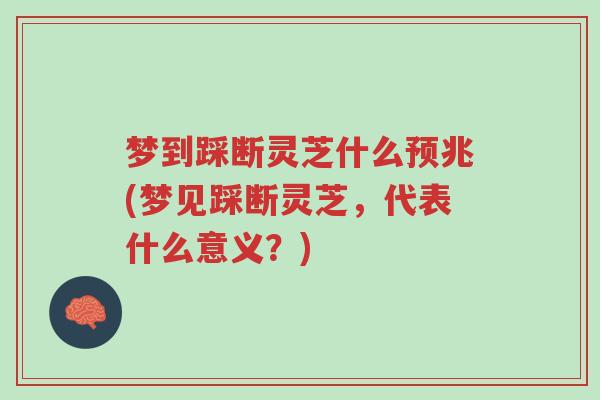 梦到踩断灵芝什么预兆(梦见踩断灵芝,代表什么意义?)-第1张图片-超越 梦到踩断灵芝什么预兆(梦见踩断灵芝,代表什么意义?)-第1张图片-超越