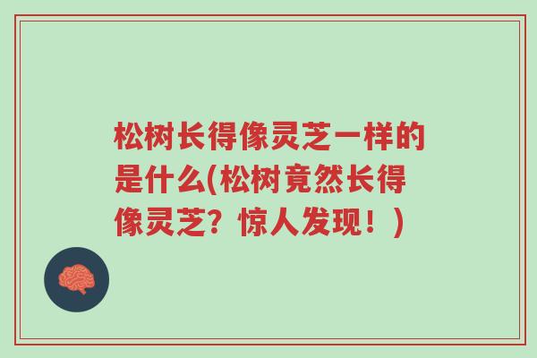 松树长得像灵芝一样的是什么(松树竟然长得像灵芝?惊人发现!)-第1张图片-超越 松树长得像灵芝一样的是什么(松树竟然长得像灵芝?惊人发现!)-第1张图片-超越