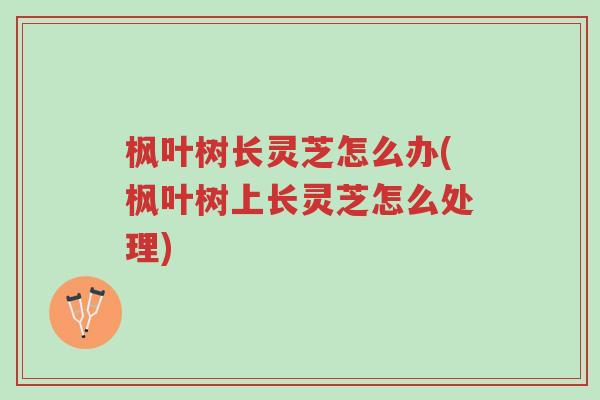 枫叶树长灵芝怎么办(枫叶树上长灵芝怎么处理)-第1张图片-超越 枫叶树长灵芝怎么办(枫叶树上长灵芝怎么处理)-第1张图片-超越