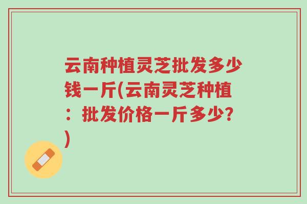 云南种植灵芝批发多少钱一斤(云南灵芝种植:批发价格一斤多少?)-第1张图片-超越 云南种植灵芝批发多少钱一斤(云南灵芝种植:批发价格一斤多少?)-第1张图片-超越