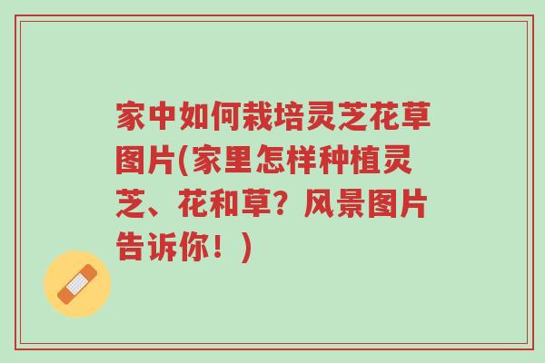 家中如何栽培灵芝花草图片(家里怎样种植灵芝、花和草?风景图片告诉你!)-第1张图片-超越 家中如何栽培灵芝花草图片(家里怎样种植灵芝、花和草?风景图片告诉你!)-第1张图片-超越