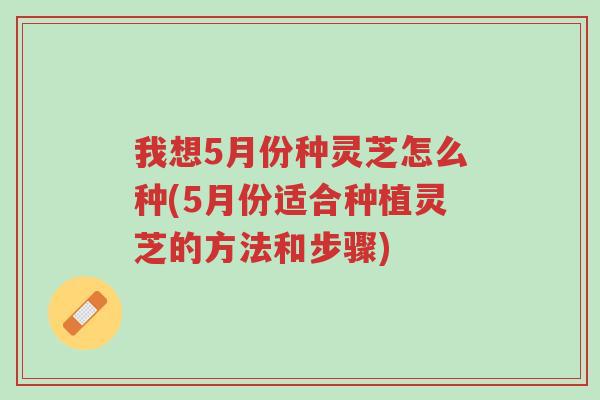 我想5月份种灵芝怎么种(5月份适合种植灵芝的方法和步骤)-第1张图片-超越 我想5月份种灵芝怎么种(5月份适合种植灵芝的方法和步骤)-第1张图片-超越