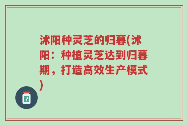 沭阳种灵芝的归暮(沭阳：种植灵芝达到归暮期，打造高效生产模式)-第1张图片-超越