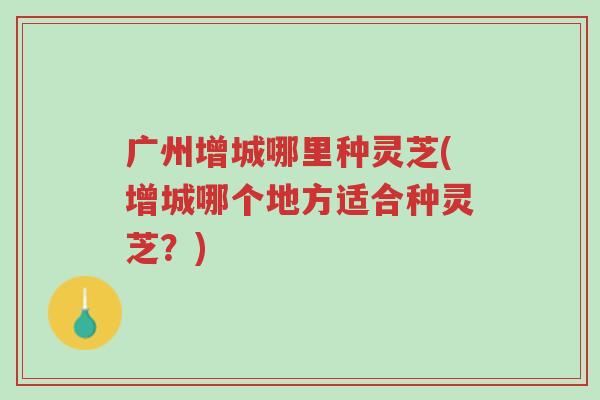 广州增城哪里种灵芝(增城哪个地方适合种灵芝?)-第1张图片-超越 广州增城哪里种灵芝(增城哪个地方适合种灵芝?)-第1张图片-超越