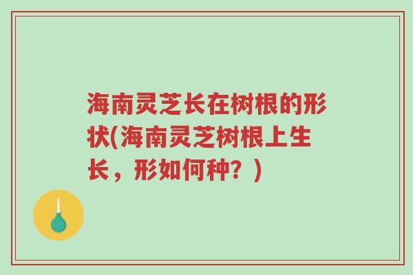 海南灵芝长在树根的形状(海南灵芝树根上生长,形如何种?)-第1张图片-超越 海南灵芝长在树根的形状(海南灵芝树根上生长,形如何种?)-第1张图片-超越