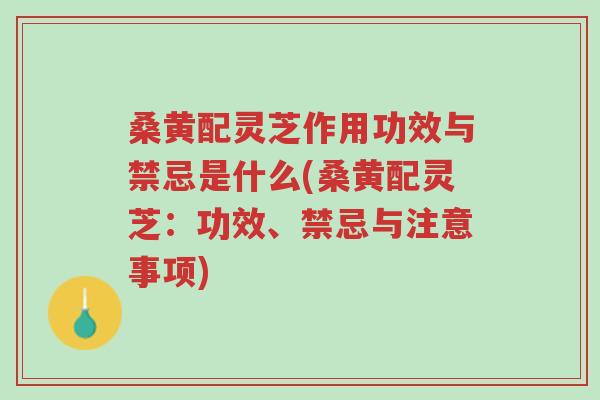 桑黄配灵芝作用功效与禁忌是什么(桑黄配灵芝:功效、禁忌与注意事项)-第1张图片-超越 桑黄配灵芝作用功效与禁忌是什么(桑黄配灵芝:功效、禁忌与注意事项)-第1张图片-超越