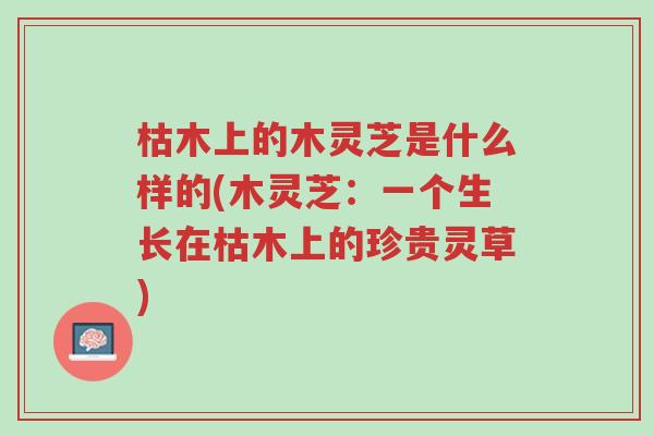 枯木上的木灵芝是什么样的(木灵芝:一个生长在枯木上的珍贵灵草)-第1张图片-超越 枯木上的木灵芝是什么样的(木灵芝:一个生长在枯木上的珍贵灵草)-第1张图片-超越
