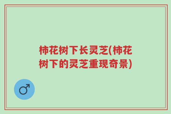 柿花树下长灵芝(柿花树下的灵芝重现奇景)-第1张图片-超越 柿花树下长灵芝(柿花树下的灵芝重现奇景)-第1张图片-超越
