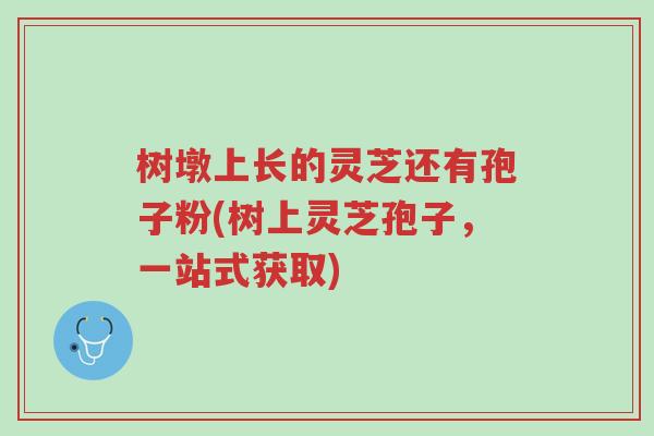 树墩上长的灵芝还有孢子粉(树上灵芝孢子,一站式获取)-第1张图片-超越 树墩上长的灵芝还有孢子粉(树上灵芝孢子,一站式获取)-第1张图片-超越