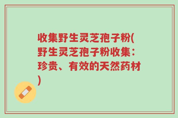 收集野生灵芝孢子粉(野生灵芝孢子粉收集:珍贵、有效的天然药材)-第1张图片-超越 收集野生灵芝孢子粉(野生灵芝孢子粉收集:珍贵、有效的天然药材)-第1张图片-超越