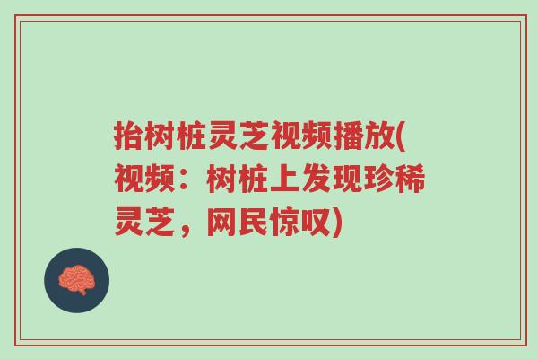 抬树桩灵芝视频播放(视频:树桩上发现珍稀灵芝,网民惊叹)-第1张图片-超越 抬树桩灵芝视频播放(视频:树桩上发现珍稀灵芝,网民惊叹)-第1张图片-超越