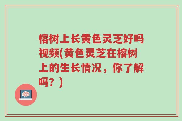 榕树上长黄色灵芝好吗视频(黄色灵芝在榕树上的生长情况,你了解吗?)-第1张图片-超越 榕树上长黄色灵芝好吗视频(黄色灵芝在榕树上的生长情况,你了解吗?)-第1张图片-超越