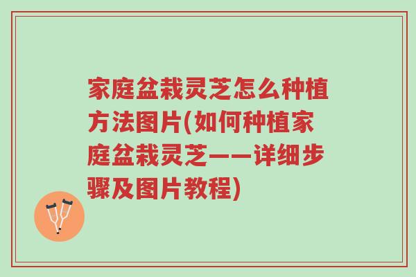 家庭盆栽灵芝怎么种植方法图片(如何种植家庭盆栽灵芝——详细步骤及图片教程)-第1张图片-超越 家庭盆栽灵芝怎么种植方法图片(如何种植家庭盆栽灵芝——详细步骤及图片教程)-第1张图片-超越