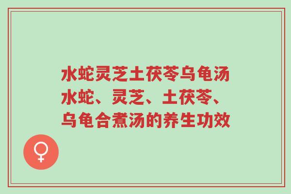 水蛇灵芝土茯苓乌龟汤水蛇、灵芝、土茯苓、乌龟合煮汤的养生功效-第1张图片-超越 水蛇灵芝土茯苓乌龟汤水蛇、灵芝、土茯苓、乌龟合煮汤的养生功效-第1张图片-超越