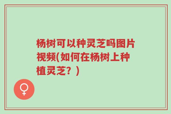 杨树可以种灵芝吗图片视频(如何在杨树上种植灵芝?)-第1张图片-超越 杨树可以种灵芝吗图片视频(如何在杨树上种植灵芝?)-第1张图片-超越