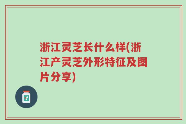 浙江灵芝长什么样(浙江产灵芝外形特征及图片分享)-第1张图片-超越 浙江灵芝长什么样(浙江产灵芝外形特征及图片分享)-第1张图片-超越