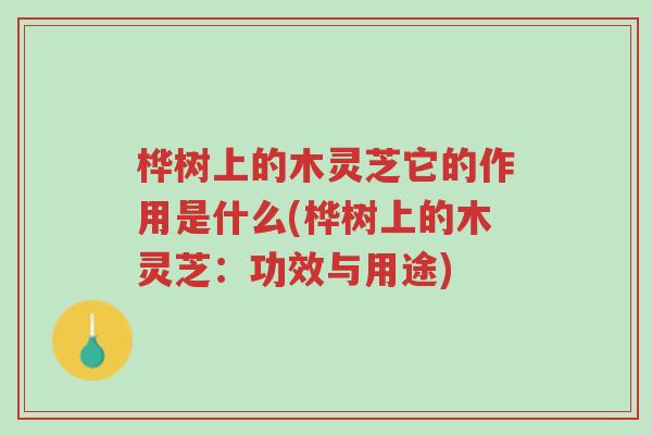桦树上的木灵芝它的作用是什么(桦树上的木灵芝:功效与用途)-第1张图片-超越 桦树上的木灵芝它的作用是什么(桦树上的木灵芝:功效与用途)-第1张图片-超越