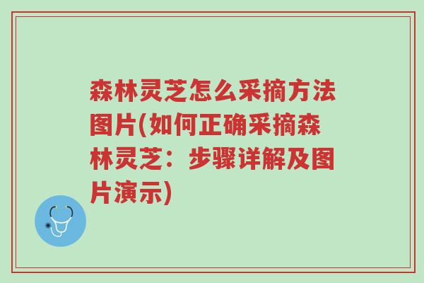 森林灵芝怎么采摘方法图片(如何正确采摘森林灵芝:步骤详解及图片演示)-第1张图片-超越 森林灵芝怎么采摘方法图片(如何正确采摘森林灵芝:步骤详解及图片演示)-第1张图片-超越