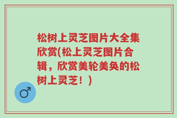 松树上灵芝图片大全集欣赏(松上灵芝图片合辑,欣赏美轮美奂的松树上灵芝!)-第1张图片-超越 松树上灵芝图片大全集欣赏(松上灵芝图片合辑,欣赏美轮美奂的松树上灵芝!)-第1张图片-超越