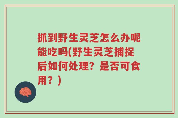 抓到野生灵芝怎么办呢能吃吗(野生灵芝捕捉后如何处理?是否可食用?)-第1张图片-超越 抓到野生灵芝怎么办呢能吃吗(野生灵芝捕捉后如何处理?是否可食用?)-第1张图片-超越