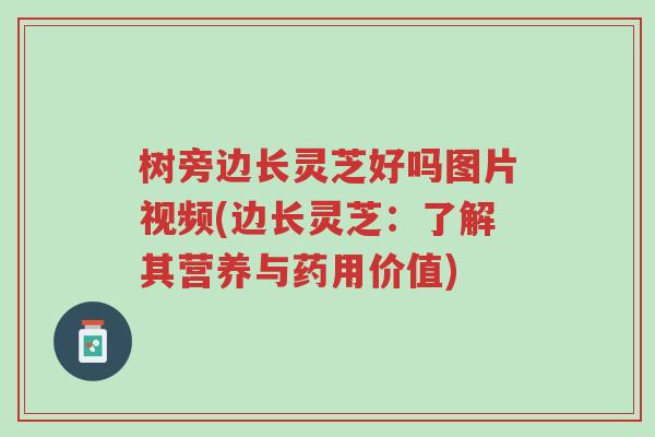 树旁边长灵芝好吗图片视频(边长灵芝:了解其营养与药用价值)-第1张图片-超越 树旁边长灵芝好吗图片视频(边长灵芝:了解其营养与药用价值)-第1张图片-超越