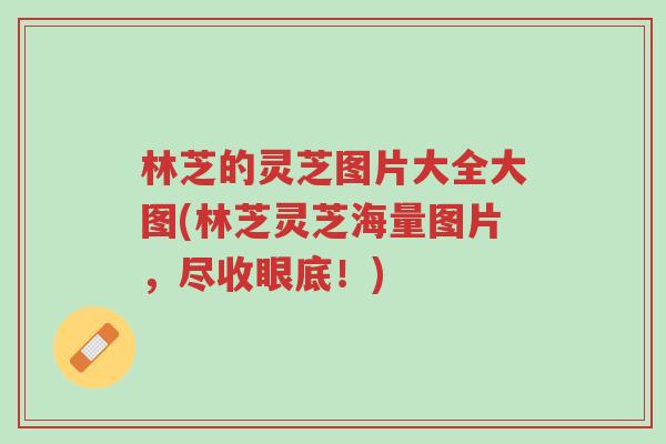 林芝的灵芝图片大全大图(林芝灵芝海量图片,尽收眼底!)-第1张图片-超越 林芝的灵芝图片大全大图(林芝灵芝海量图片,尽收眼底!)-第1张图片-超越