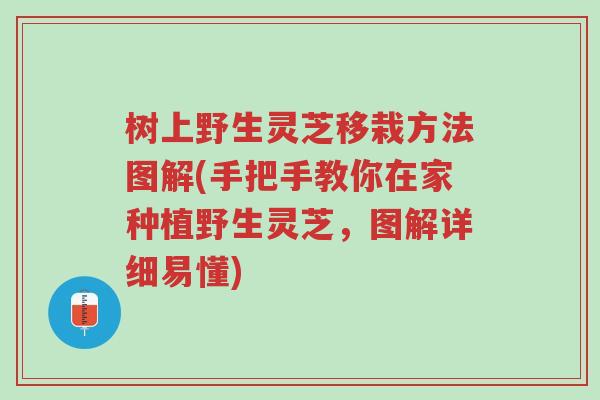 树上野生灵芝移栽方法图解(手把手教你在家种植野生灵芝，图解详细易懂)-第1张图片-超越