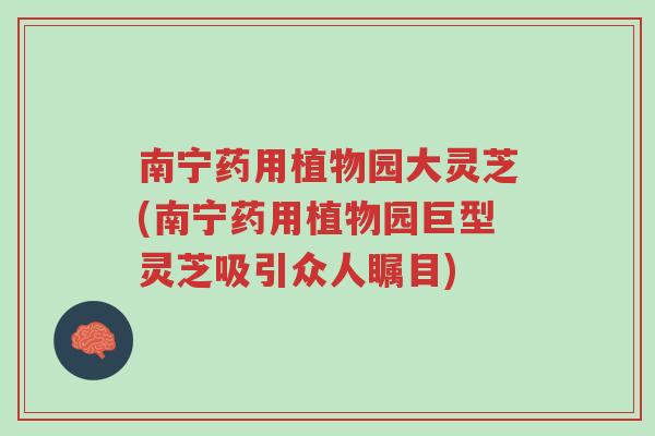 南宁药用植物园大灵芝(南宁药用植物园巨型灵芝吸引众人瞩目)-第1张图片-超越 南宁药用植物园大灵芝(南宁药用植物园巨型灵芝吸引众人瞩目)-第1张图片-超越