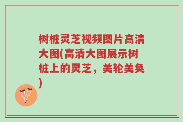 树桩灵芝视频图片高清大图(高清大图展示树桩上的灵芝，美轮美奂)-第1张图片-超越