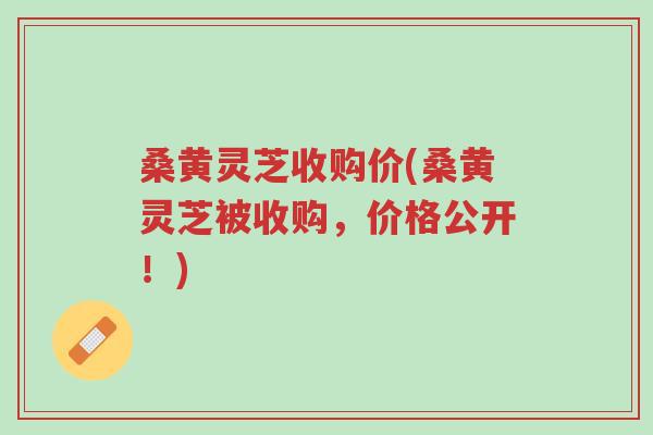 桑黄灵芝收购价(桑黄灵芝被收购,价格公开!)-第1张图片-超越 桑黄灵芝收购价(桑黄灵芝被收购,价格公开!)-第1张图片-超越
