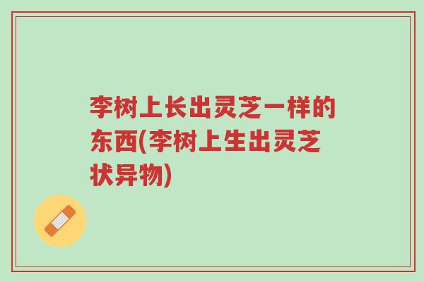 李树上长出灵芝一样的东西(李树上生出灵芝状异物)-第1张图片-超越 李树上长出灵芝一样的东西(李树上生出灵芝状异物)-第1张图片-超越