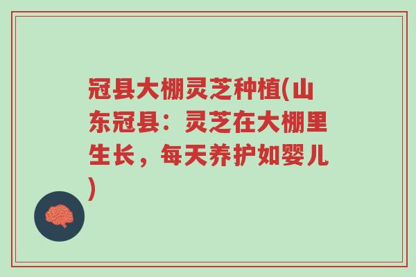 冠县大棚灵芝种植(山东冠县:灵芝在大棚里生长,每天养护如婴儿)-第1张图片-超越 冠县大棚灵芝种植(山东冠县:灵芝在大棚里生长,每天养护如婴儿)-第1张图片-超越