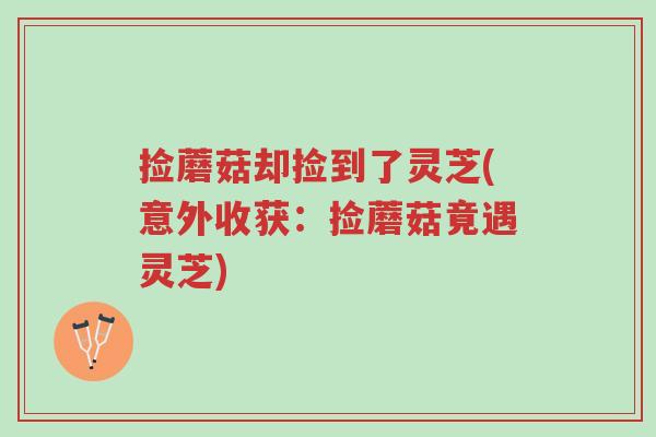 捡蘑菇却捡到了灵芝(意外收获：捡蘑菇竟遇灵芝)-第1张图片-超越