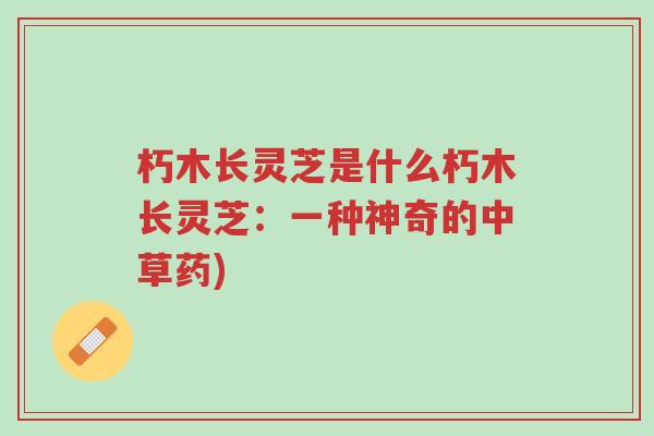 朽木长灵芝是什么朽木长灵芝:一种神奇的中草药)-第1张图片-超越 朽木长灵芝是什么朽木长灵芝:一种神奇的中草药)-第1张图片-超越