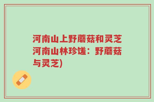河南山上野蘑菇和灵芝河南山林珍馐:野蘑菇与灵芝)-第1张图片-超越 河南山上野蘑菇和灵芝河南山林珍馐:野蘑菇与灵芝)-第1张图片-超越