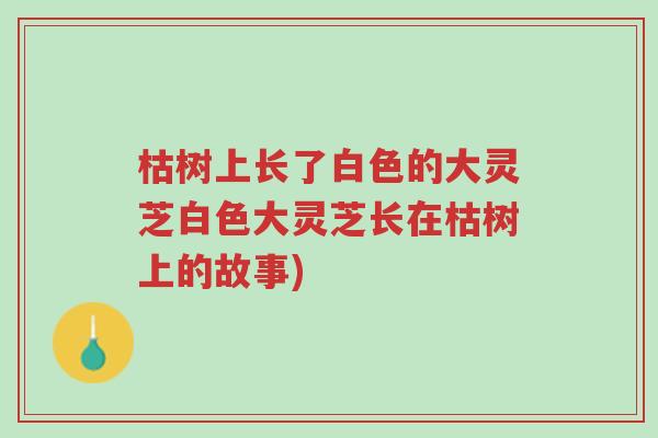 枯树上长了白色的大灵芝白色大灵芝长在枯树上的故事)-第1张图片-超越 枯树上长了白色的大灵芝白色大灵芝长在枯树上的故事)-第1张图片-超越