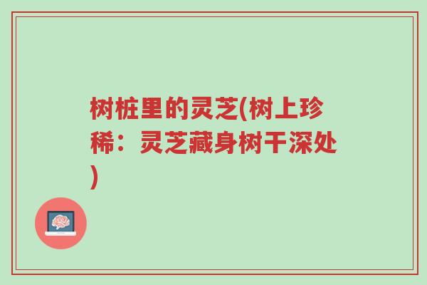 树桩里的灵芝(树上珍稀:灵芝藏身树干深处)-第1张图片-超越 树桩里的灵芝(树上珍稀:灵芝藏身树干深处)-第1张图片-超越